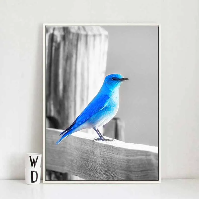 Tranh trứng, chim xanh kết hợp chữ