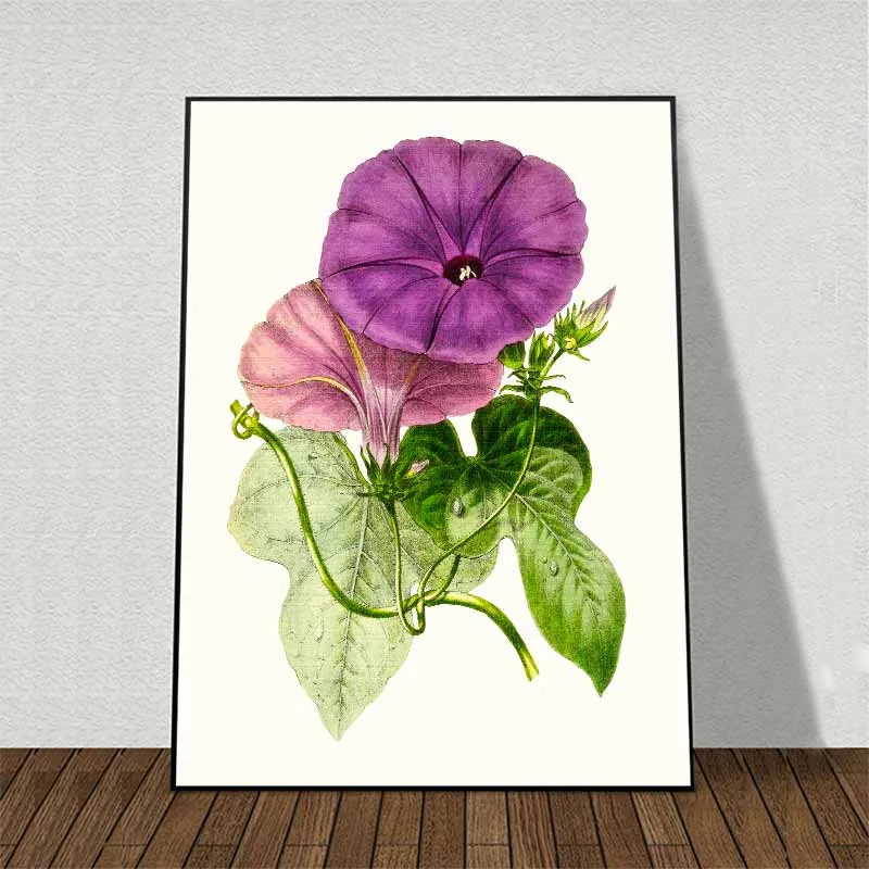 Tranh Hoa Hạt Nổ