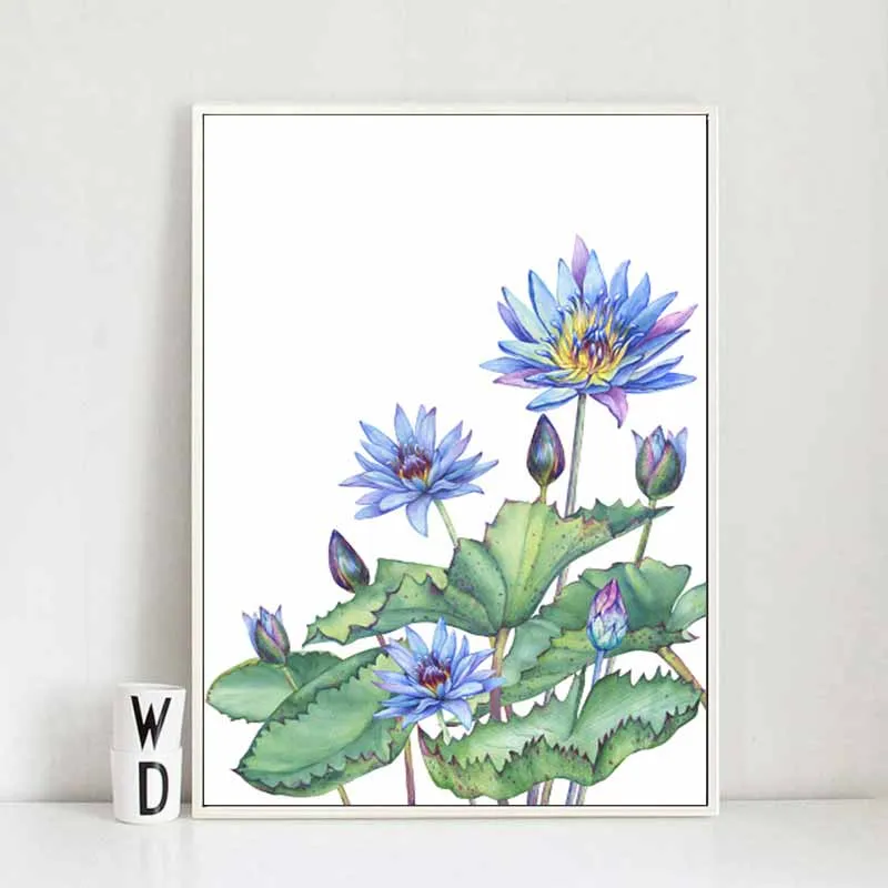 Tranh hoa sen và hoa súng