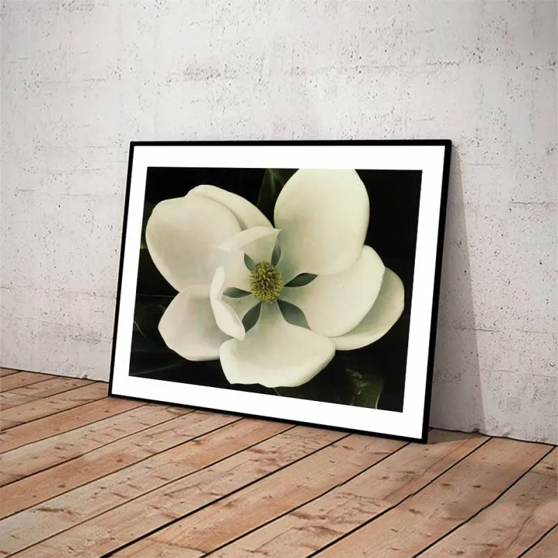 Tranh canvas hoa Trà, hoa Lan