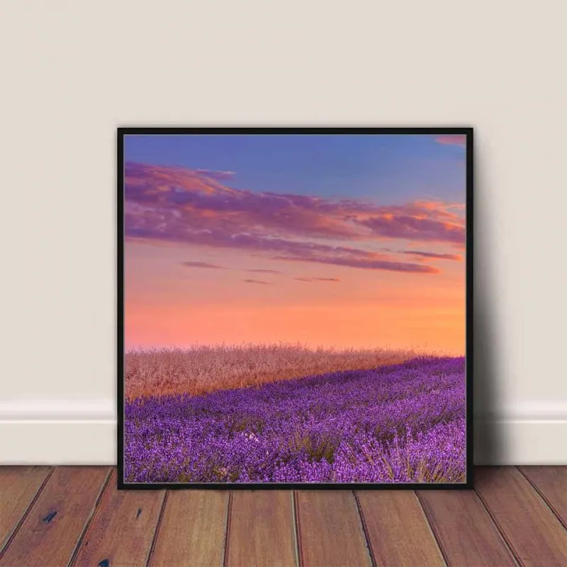 Tranh canvas cánh đồng hoa màu tím