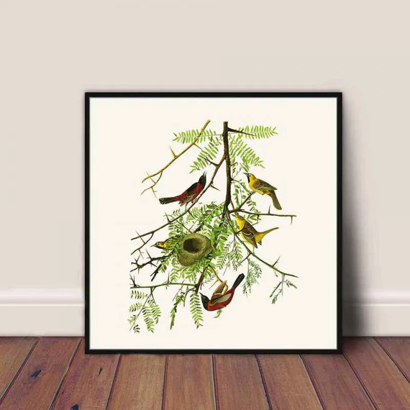 Tranh canvas đàn chim đang ăn hạt