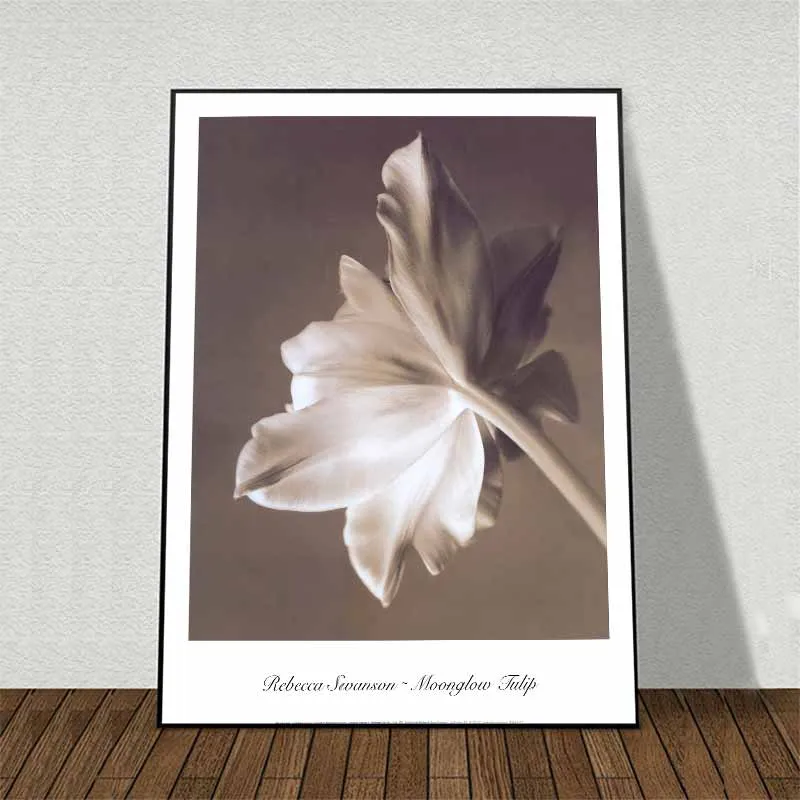 Tranh canvas hoa Tulip kết hợp chữ Rebecca Swanson – Moonlight Tulip