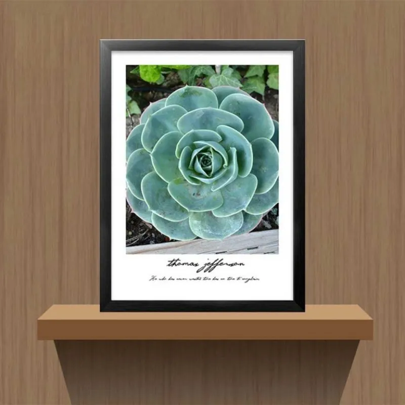 Tranh các loại sen đá kết hợp chữ