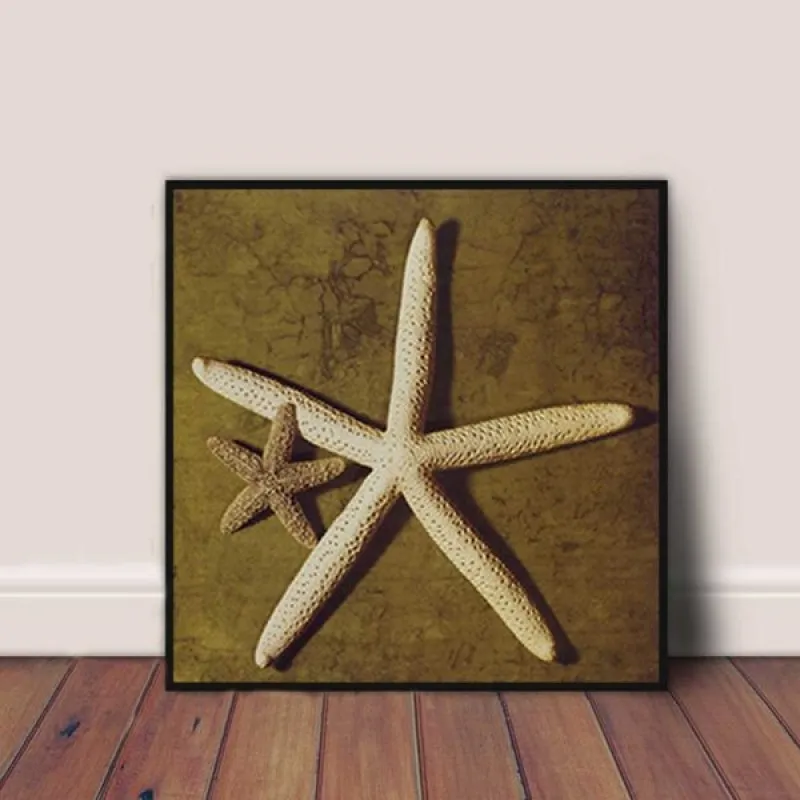 Tranh các loại vỏ ốc và sao biển