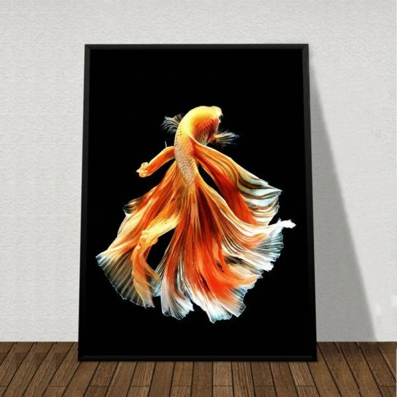 Tranh bộ cá phướng và cá vàng khiêu vũ