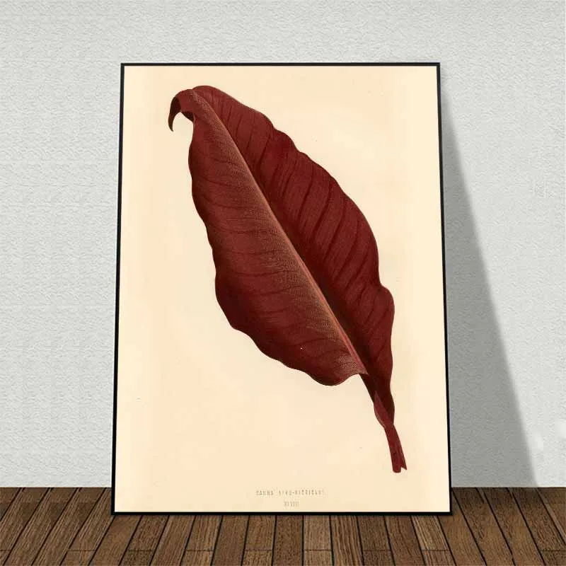 11 bức tranh các loại lá cây