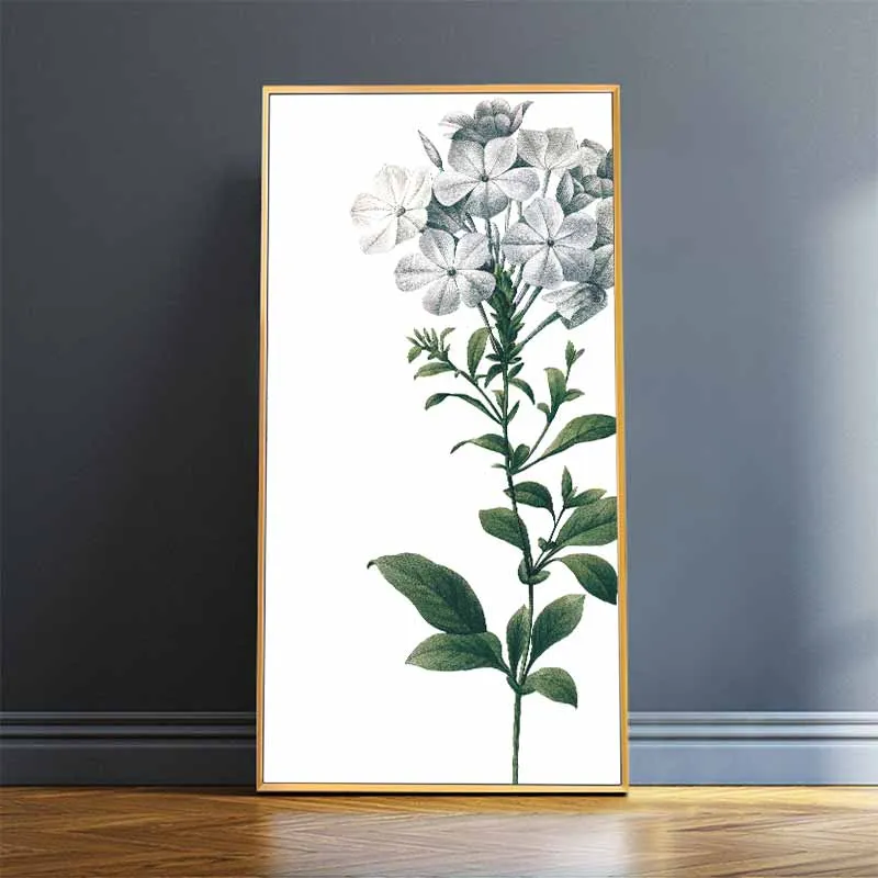 Tranh hoa Ly, hoa Tulip, hoa Lay Ơn, hoa Phong Lan, hoa Diên Vĩ, hoa Loa Kèn, hoa Huệ