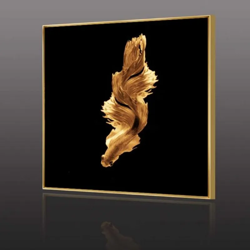 Tranh cá phướng khổ vuông