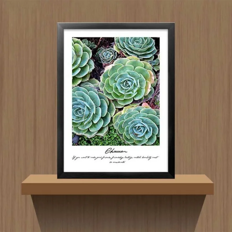 Tranh các loại sen đá kết hợp chữ