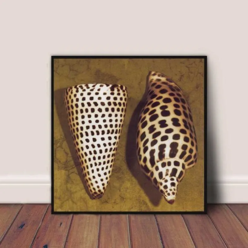 Tranh các loại vỏ ốc và sao biển