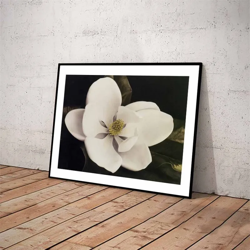 Tranh canvas hoa Trà, hoa Lan