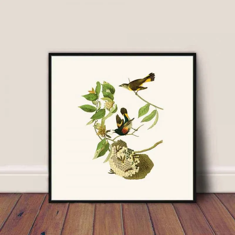 Tranh canvas đàn chim đang ăn hạt