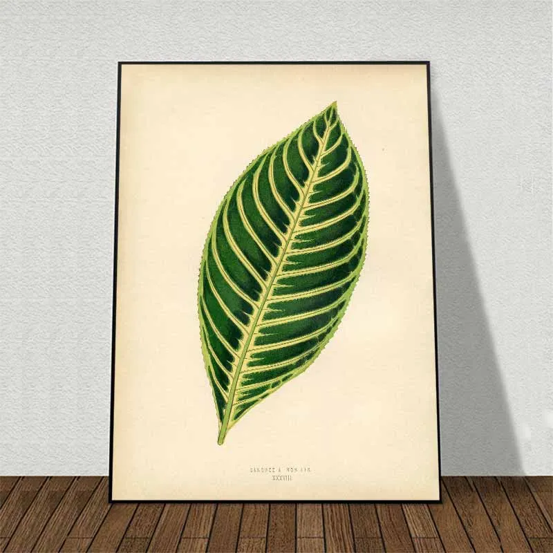 11 bức tranh các loại lá cây