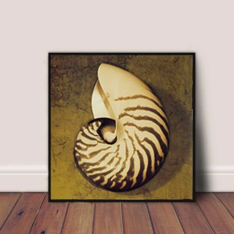 Tranh các loại vỏ ốc và sao biển