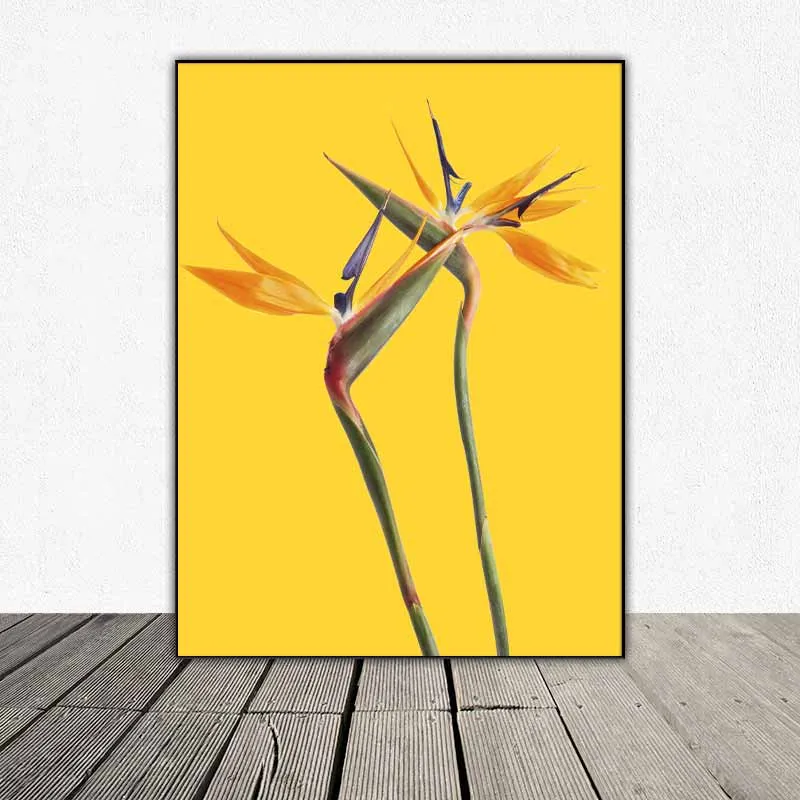 Tranh hoa hướng dương, lá cây nhiệt đới, hoa thiên điểu, đôi chim vẹt, chim két vàng