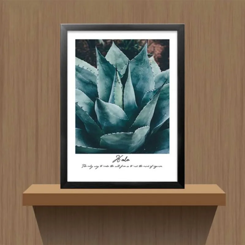 Tranh các loại sen đá kết hợp chữ