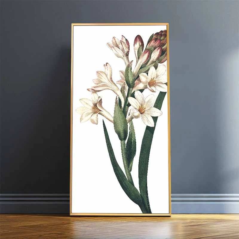 Tranh hoa Ly, hoa Tulip, hoa Lay Ơn, hoa Phong Lan, hoa Diên Vĩ, hoa Loa Kèn, hoa Huệ