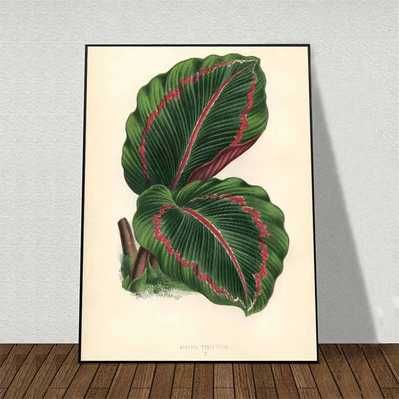 11 bức tranh các loại lá cây