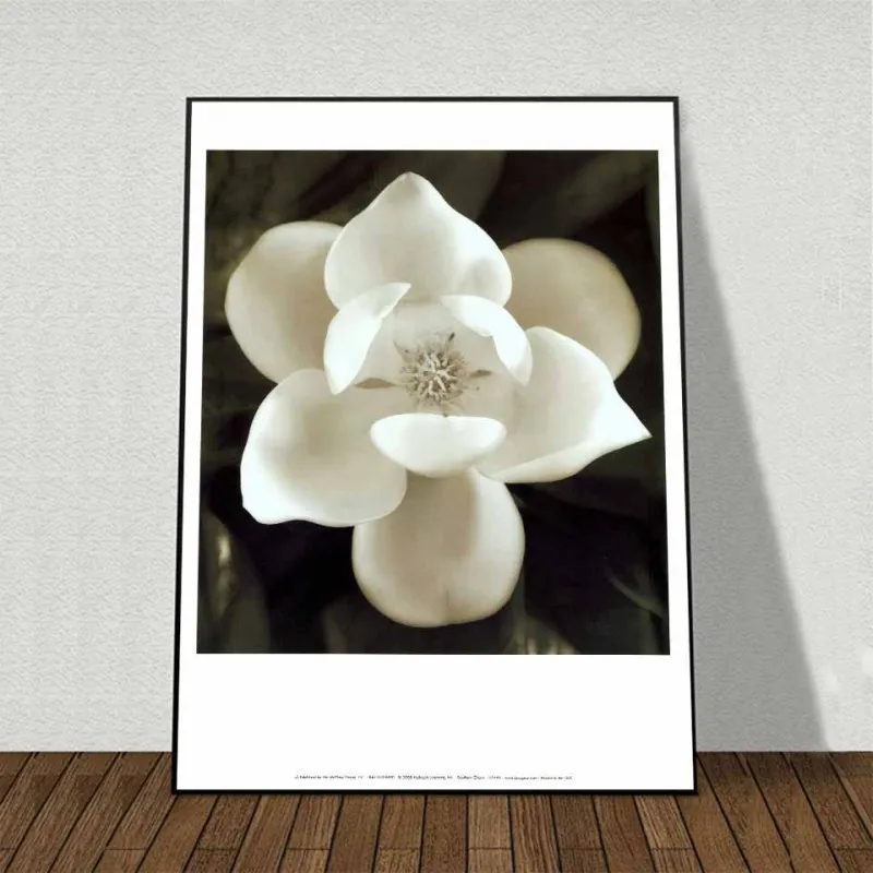 Tranh canvas hoa Trà, hoa Lan