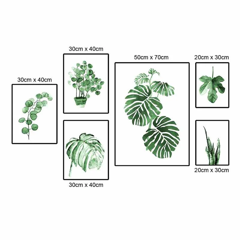 Tranh canvas các loại lá cây nhiệt đới