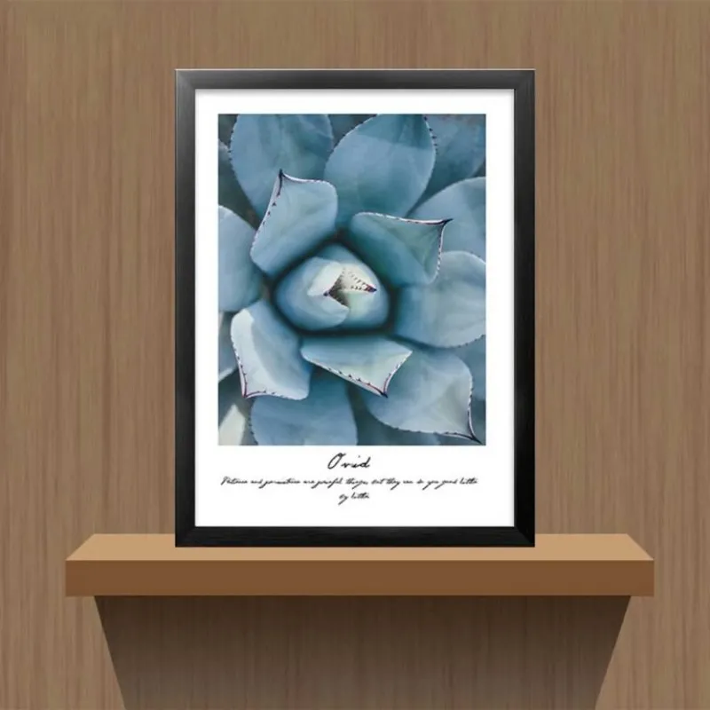 Tranh các loại sen đá kết hợp chữ