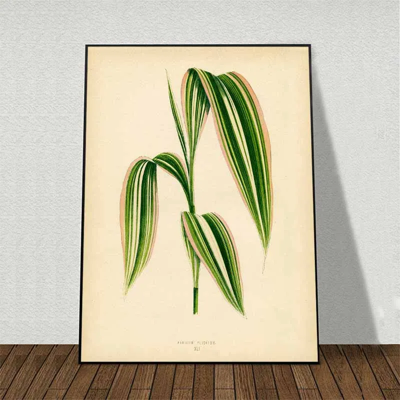 11 bức tranh các loại lá cây