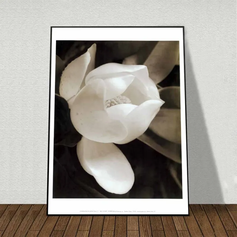 Tranh canvas hoa Trà, hoa Lan