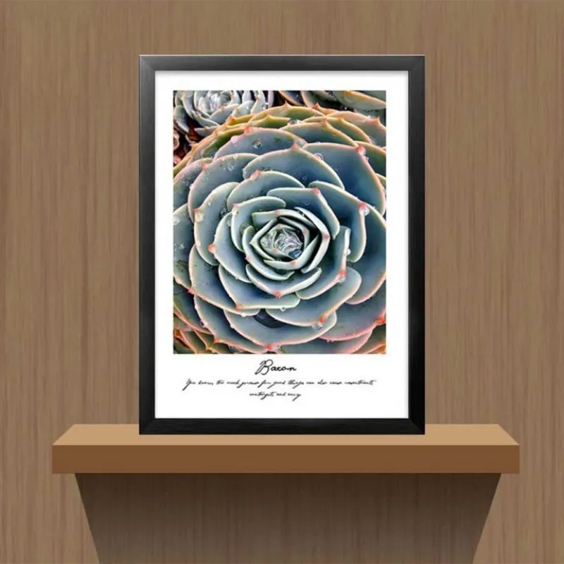 Tranh các loại sen đá kết hợp chữ