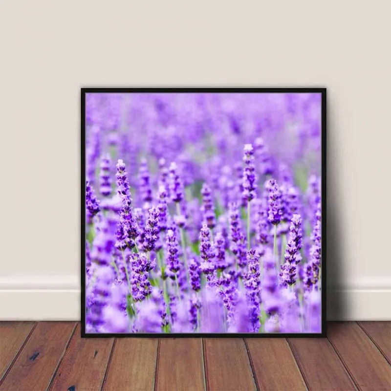 Tranh canvas cánh đồng hoa màu tím