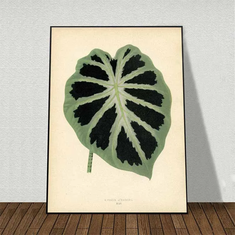 11 bức tranh các loại lá cây