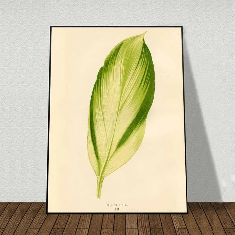 11 bức tranh các loại lá cây