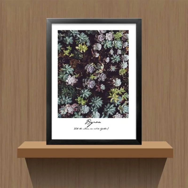 Tranh các loại sen đá kết hợp chữ