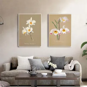 Tranh Canvas Hoa Lan Dendrobium Wardianum – Vẻ Đẹp Botanical Cổ Điển