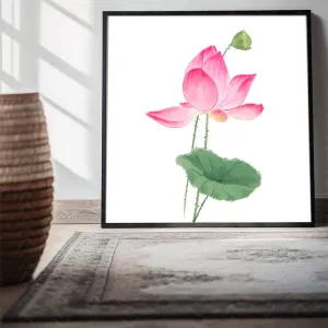 Tranh Canvas Đóa Sen Hồng Tinh Khôi