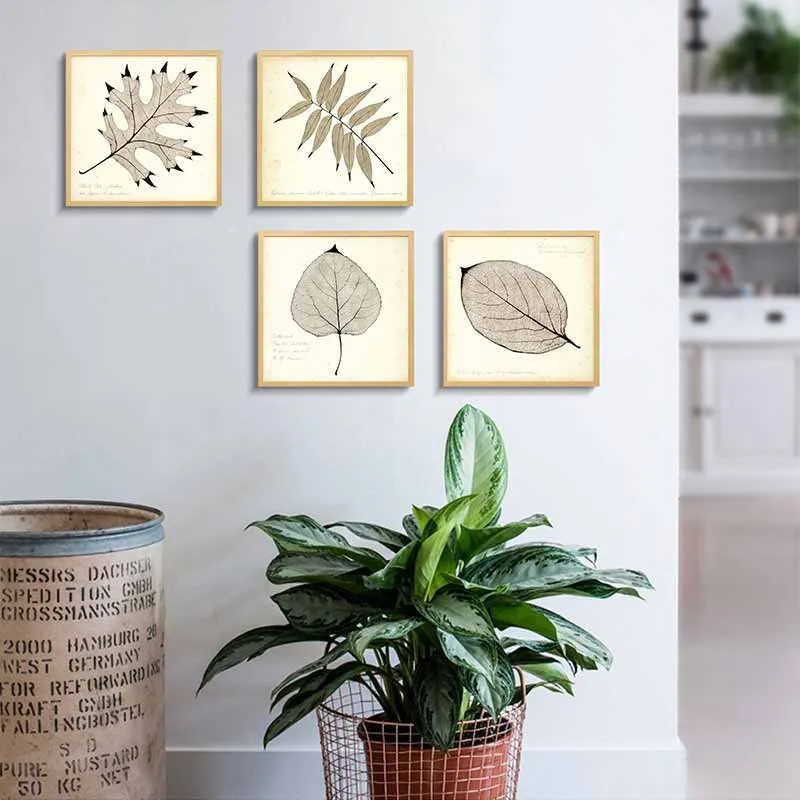 Tranh lá cây nhiệt đới tông màu xưa cũ