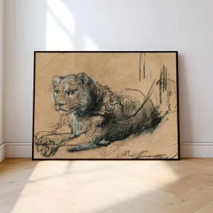 Tranh Canvas Ký Họa - Sư Tử con Nghỉ Ngơi - Rembrandt