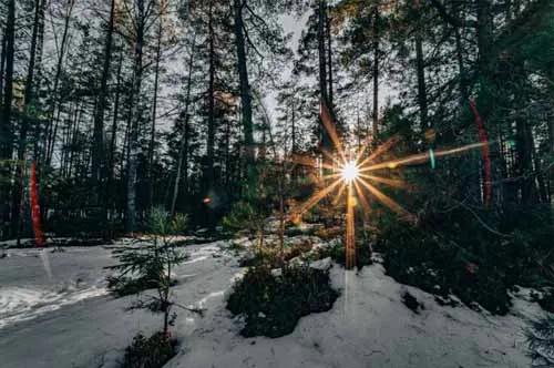 Làm chủ  việc thiết lập máy ảnh của bạn theo cách thủ công. Hình ảnh của OlegRi.