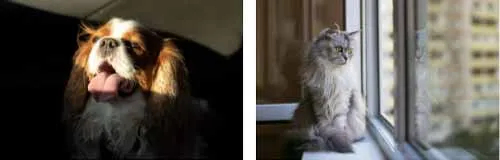 Tìm nguồn sáng tốt nhất là điều cần thiết khi thiết lập cảnh chụp của bạn.