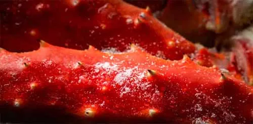 Cận cảnh cặp càng cua đỏ