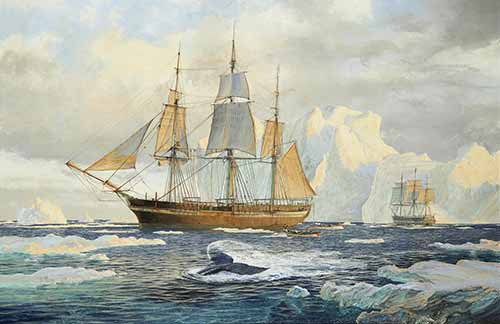 John Steven Dews - The Hull whalers Isabella and Swan in Arctic waters