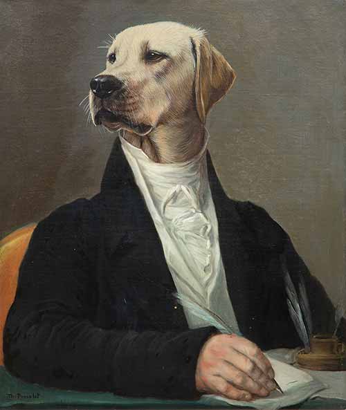 A portrait of a dog