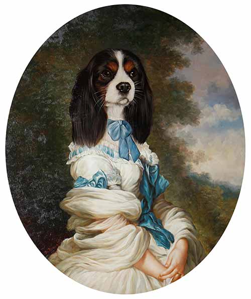 Portrait of a spaniel in a white dress with blue ribbons