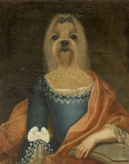 Portrait of a terrier lady