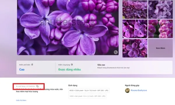 cung-cap-ma-ID-cua-hinh-anh-tren-shutterstock