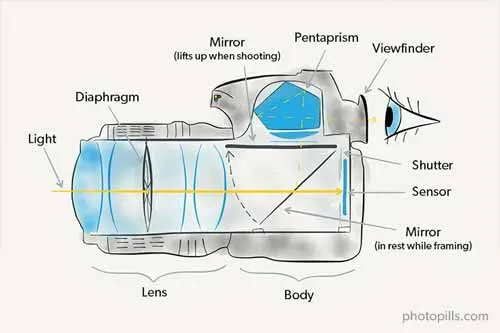 Sơ đồ về quá trình ánh sáng di chuyển trong một máy ảnh DSLR