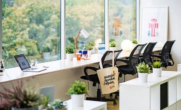 Cách bố trí văn phòng