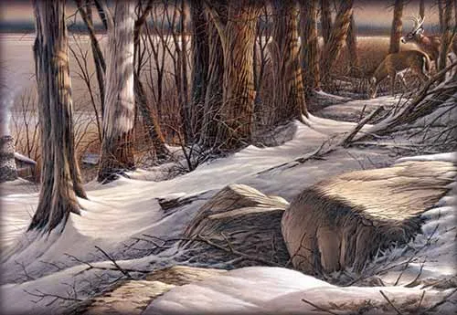 Sườn dốc đá (Boulder Ridge)