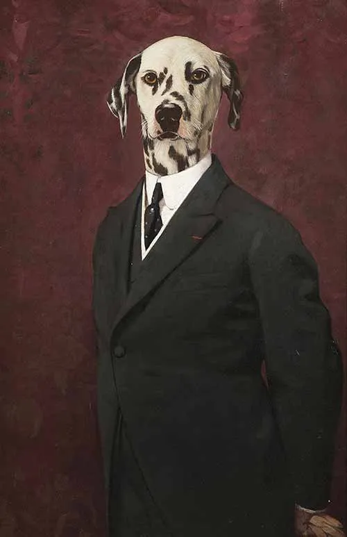 Chairman of the board