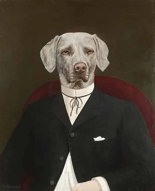 Dressed for dinner